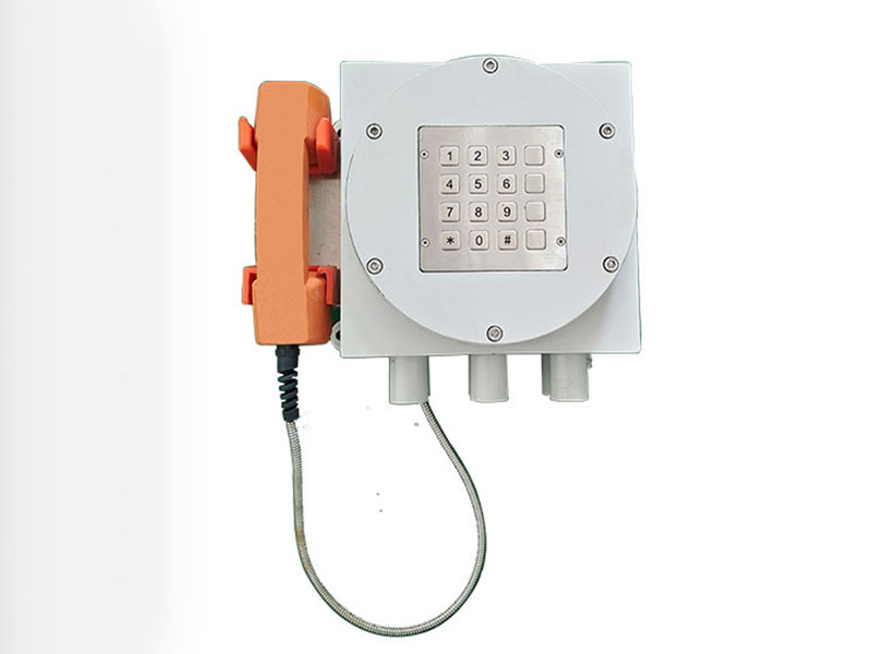 二月二 龍?zhí)ь^，恭祝大家步步高升